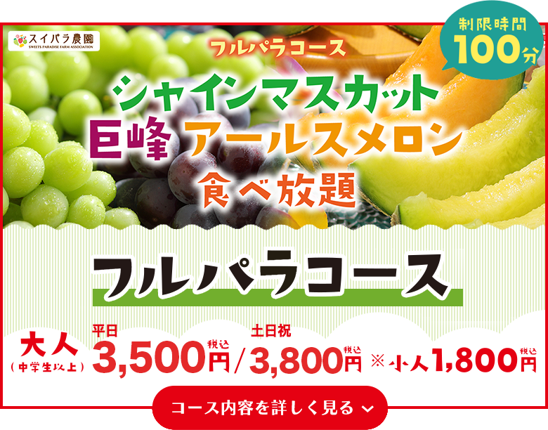 フルパラコース