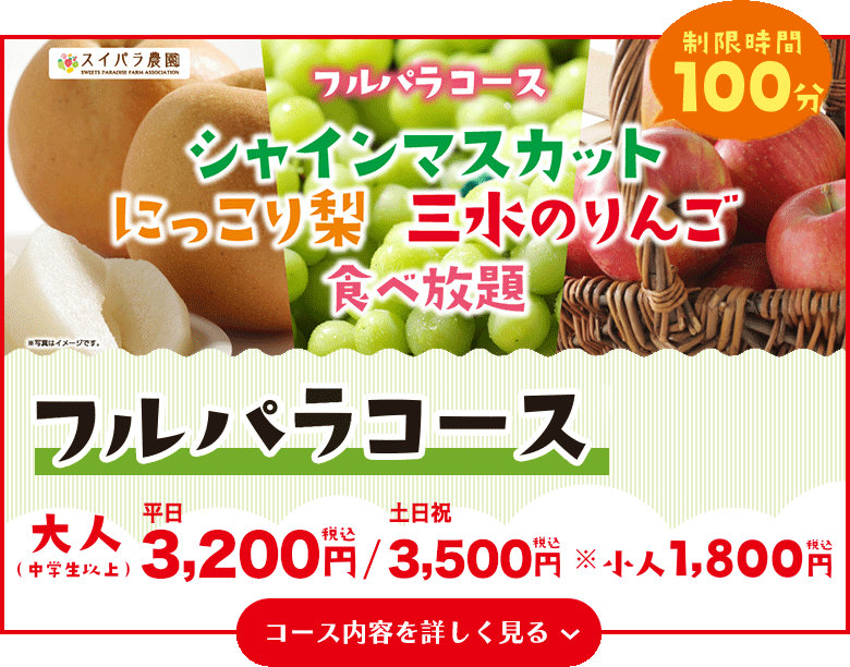 フルパラコース