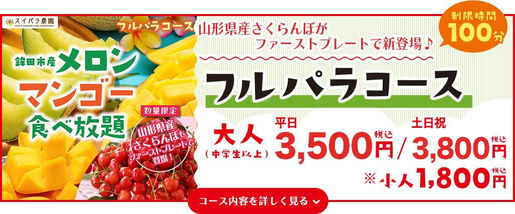 フルパラコース