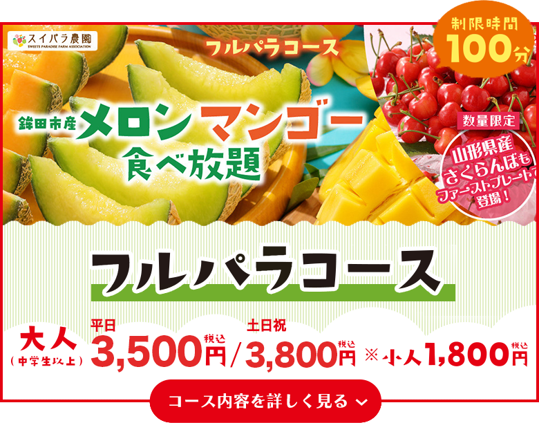 フルパラコース