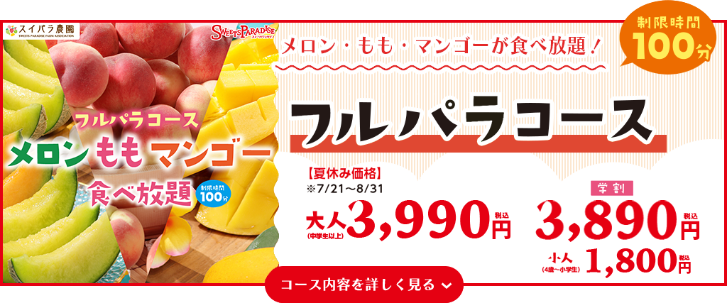 フルパラコース