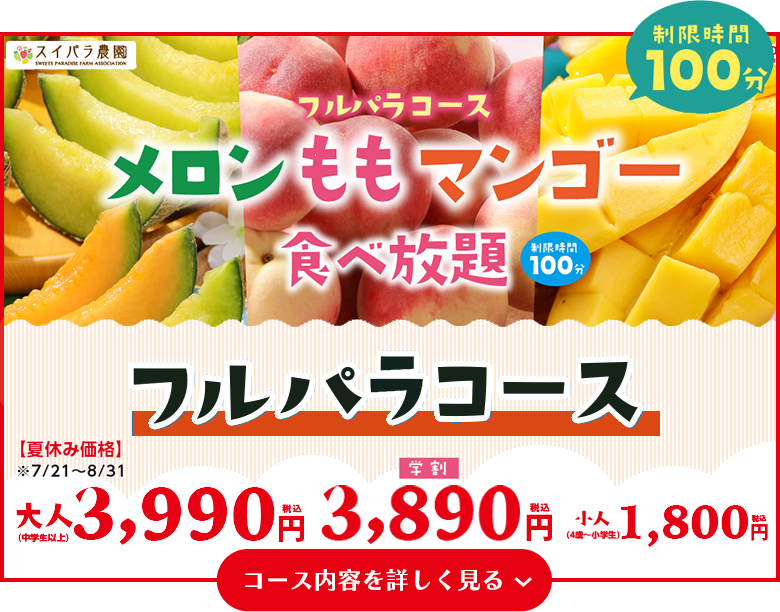 フルパラコース