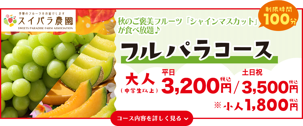 フルパラコース