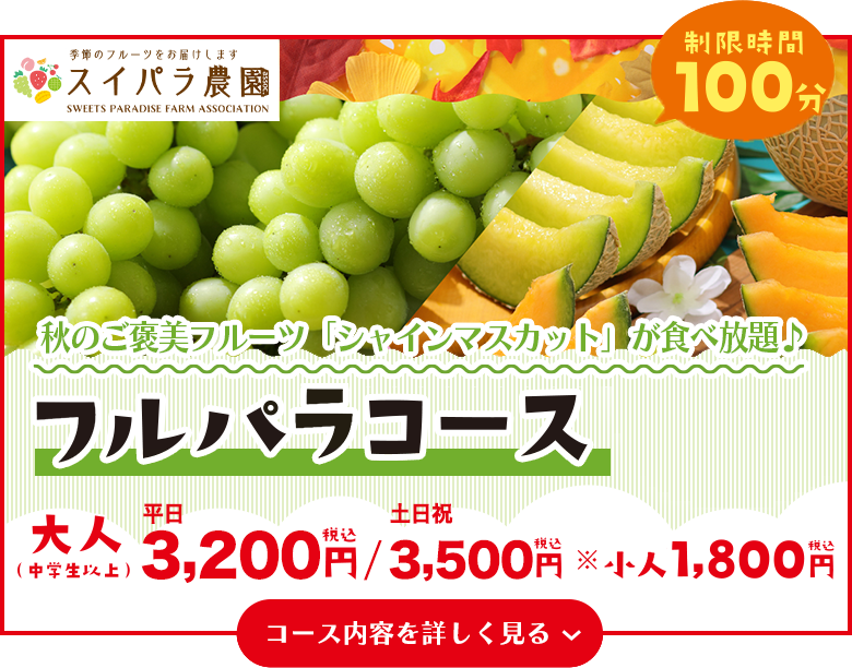 フルパラコース
