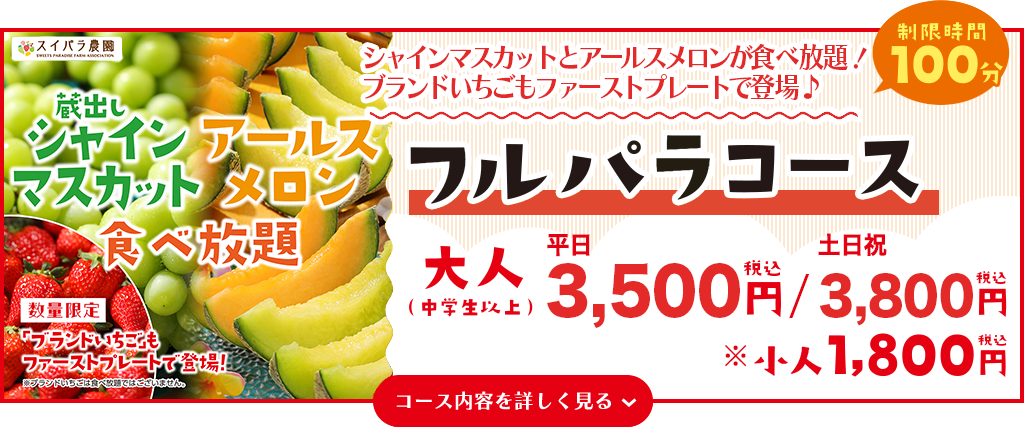 フルパラコース