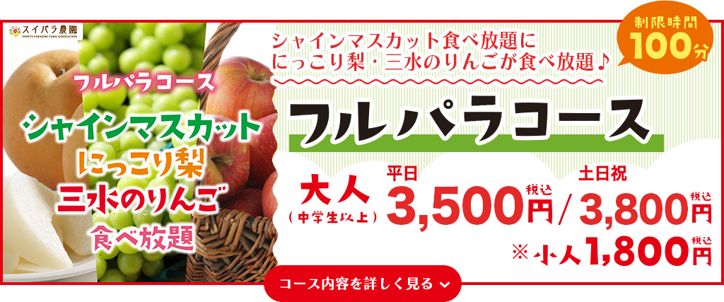 フルパラコース