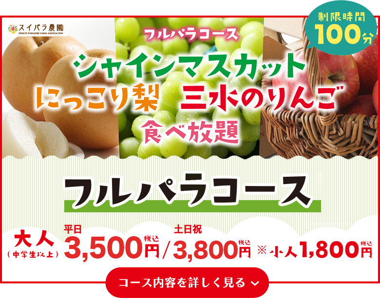 フルパラコース