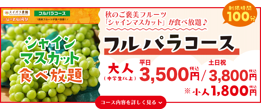 フルパラコース