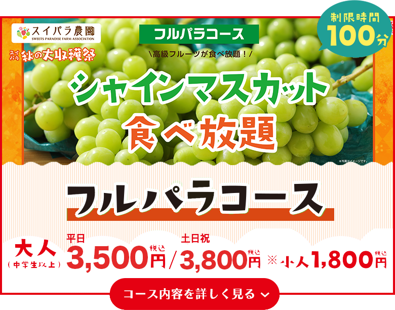 フルパラコース