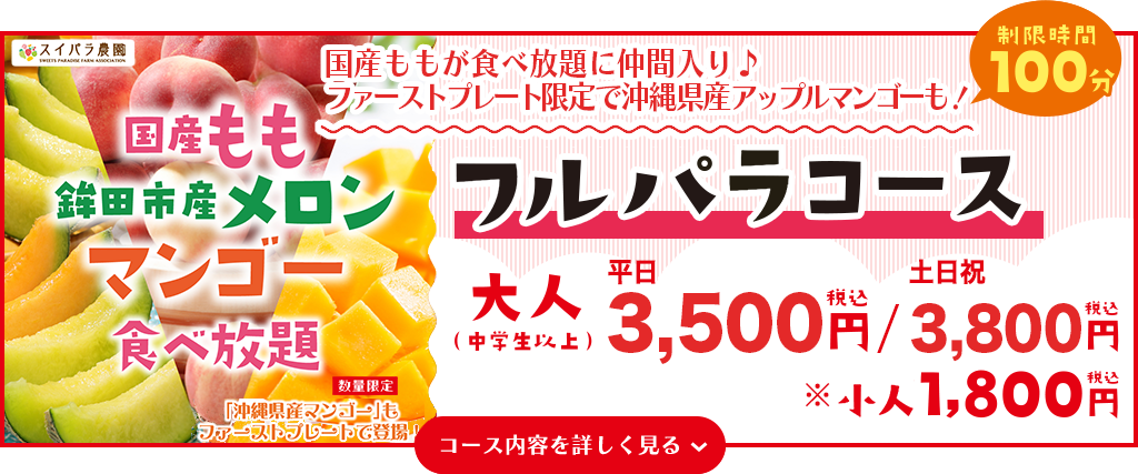 フルパラコース