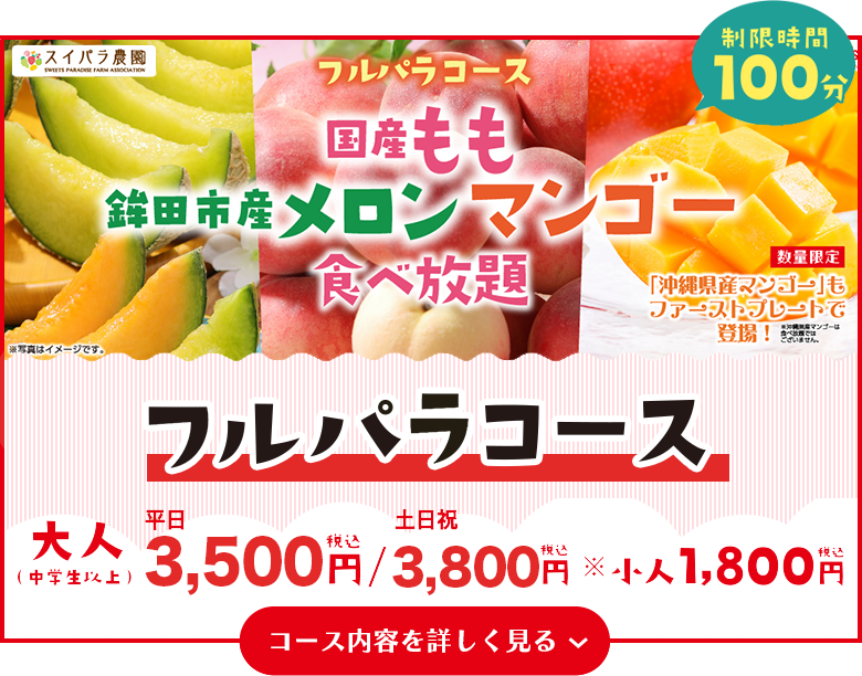 フルパラコース