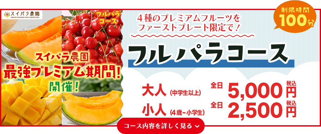 フルパラコース