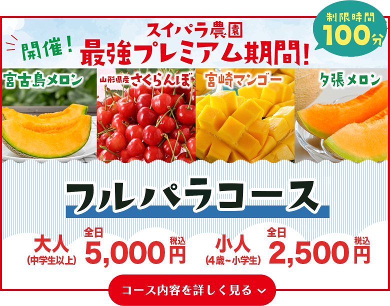 フルパラコース