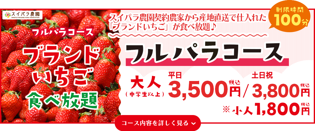 フルパラコース