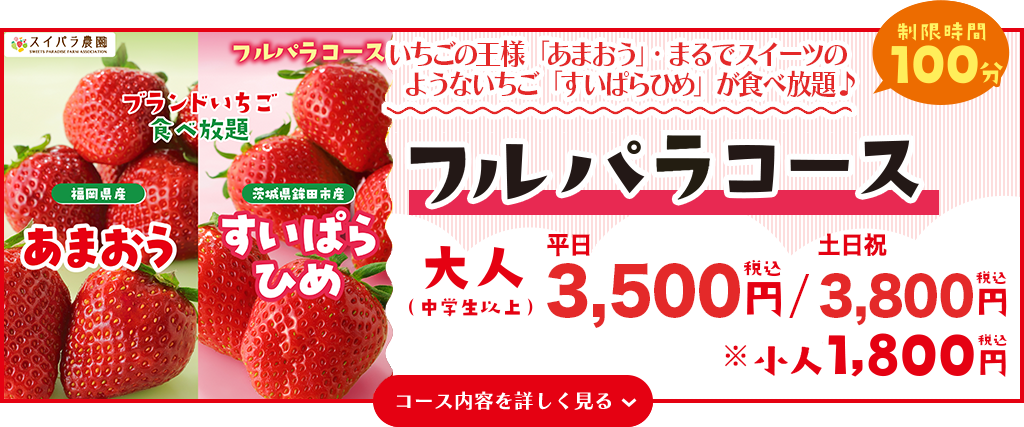 フルパラコース