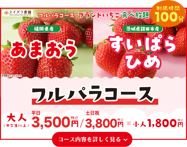 フルパラコース