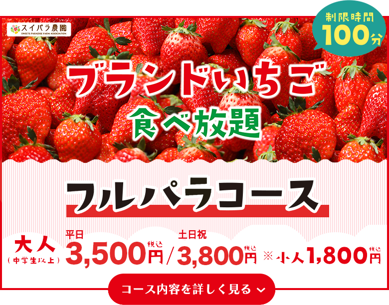 フルパラコース