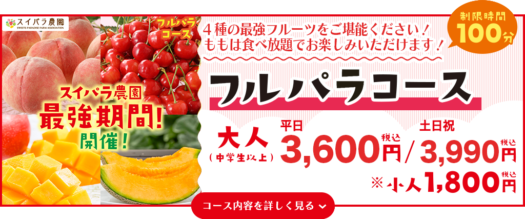 フルパラコース