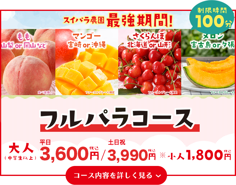 フルパラコース