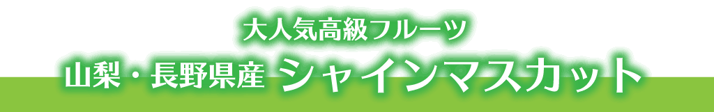 大人気高級フルーツ　山梨・長野県産シャインマスカット