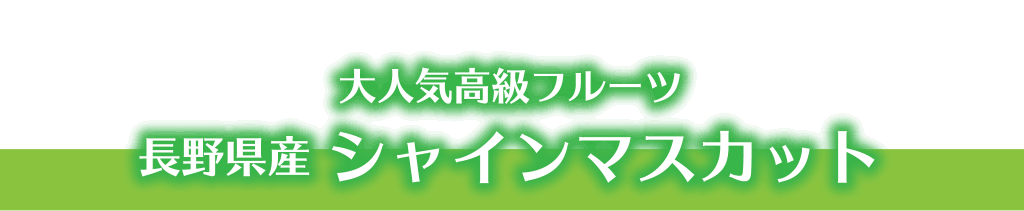 大人気高級フルーツ 長野県産 シャインマスカット