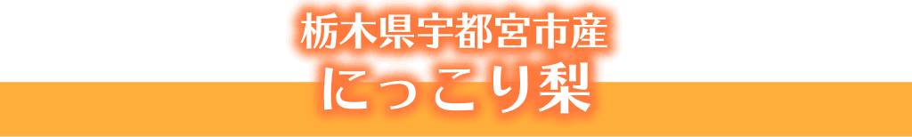 栃木県宇都宮市産 にっこり梨