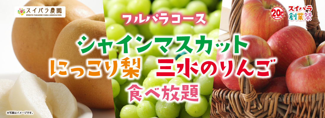 【フルパラコース】シャインマスカット にっこり梨 三水のりんご 食べ放題