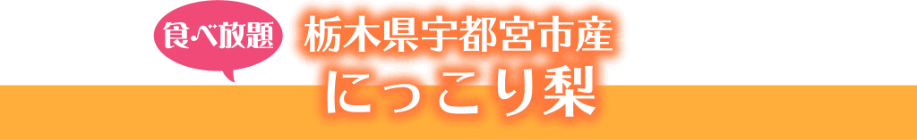 栃木県宇都宮市産 にっこり梨