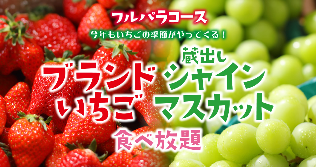 【フルパラコース】今年もいちごの季節がやってくる! ブランドいちご・蔵出し シャインマスカット食べ放題