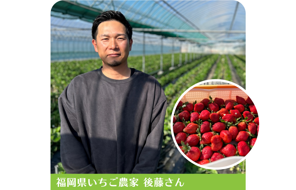 福岡県いちご農家 後藤さん