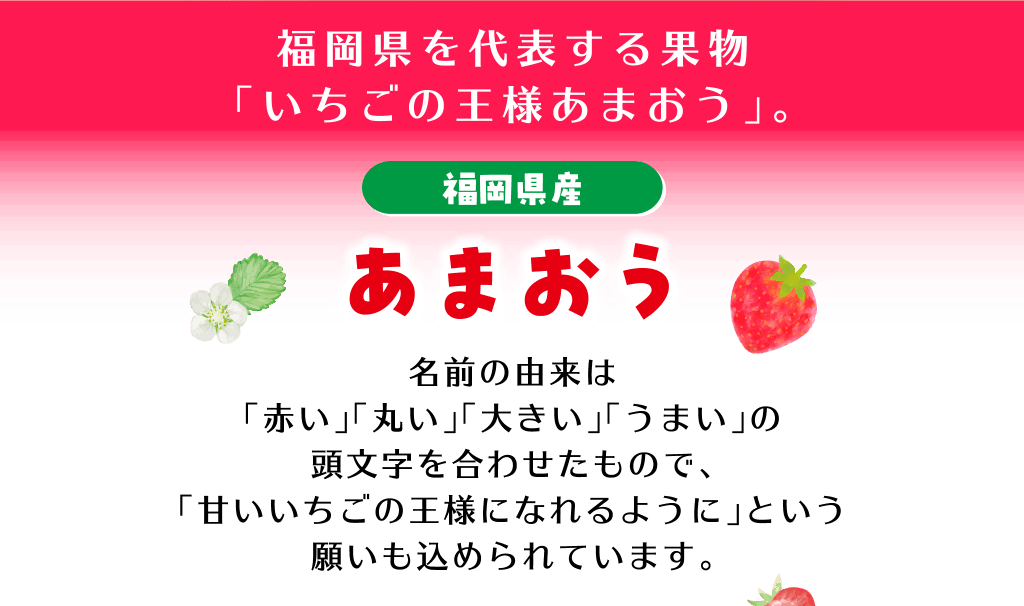 福岡県を代表する果物「いちごの王様あまおう」。 福岡県產 あまおう 名前の由来は「赤い」「丸い」「大きい」「うまい」の頭文字を合わせたもので、「甘いいちごの王様になれるように」という願いも込められています。