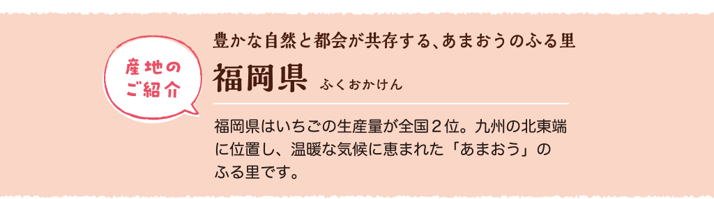 産地のご紹介 豊かな自然と都会が共存する、あまおうのふる里 福岡県はいちごの生産量が全国2位。九州の北東端に位置し、温暖な気候に恵まれた「あまおう」のふる里です。