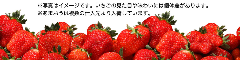 ※写真はイメージです。いちごの見た目や味わいには個体差があります。※あまおうは複数の仕入先より入荷しています。