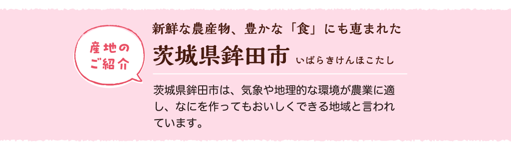 産地のご紹介 新鮮な農産物、豊かな「食」にも恵まれた 茨城県鉾田市は、気象や地理的な環境が農業に適し、なにを作ってもおいしくできる地域と言われています。