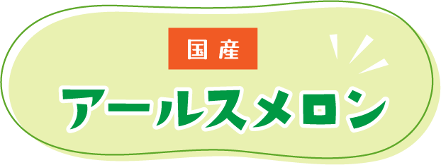 鹿児島県産アールスメロン