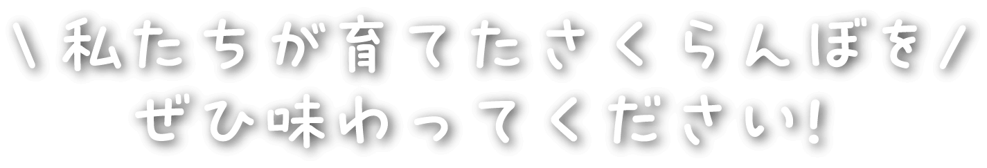 私たちが育てたさくらんぼをぜひ味わってください