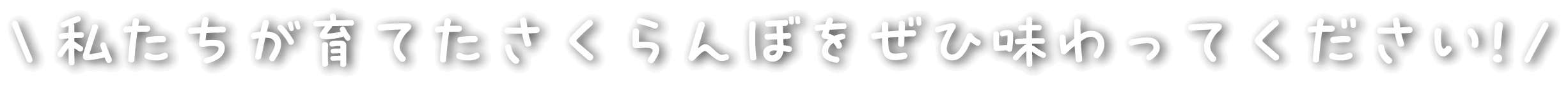 私たちが育てたさくらんぼをぜひ味わってください