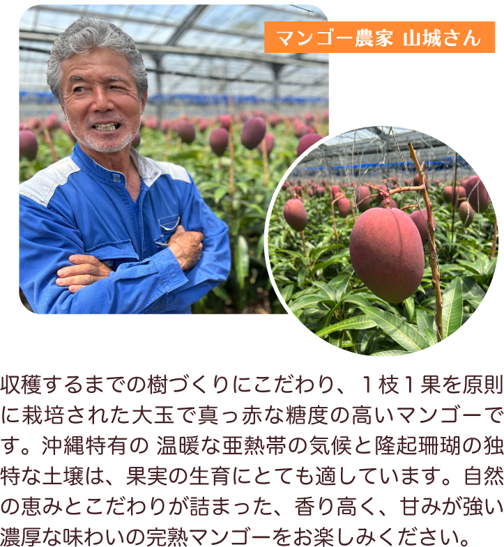 このおいしさ、スイパラ農園最強。「沖縄県産マンゴー」