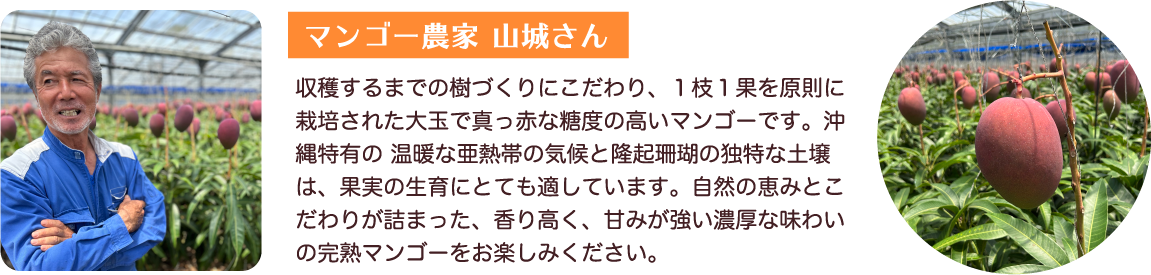 このおいしさ、スイパラ農園最強。「沖縄県産マンゴー」