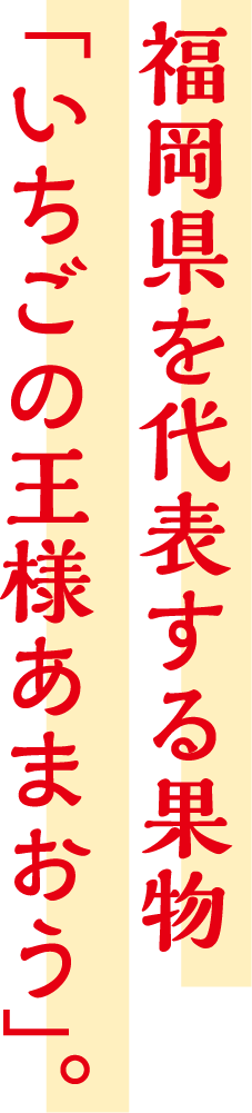 福岡県を代表する果物「いちごの王様あまおう」。