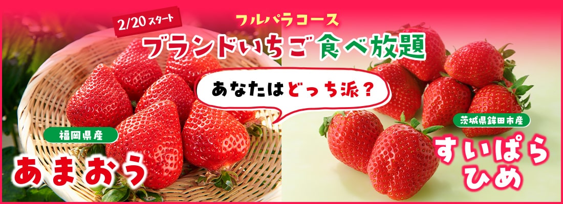 【フルパラコース】ブランドいちご食べ放題！〜あなたはどっち派？あまおうorすいぱらひめ〜