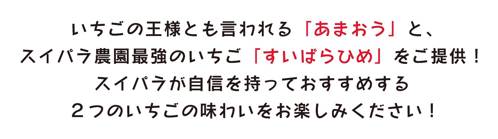 いちごの王様とも言われる「あまおう」と、スイパラ農園最強のいちご「すいぱらひめ」をご提供！スイパラが自信を持っておすすめする2つのいちごの味わいをお楽しみください！