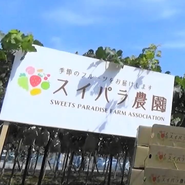 公式スイーツパラダイス 公式スイーツパラダイス