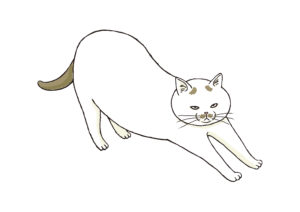 イラスト参考（のびねこ／全身）