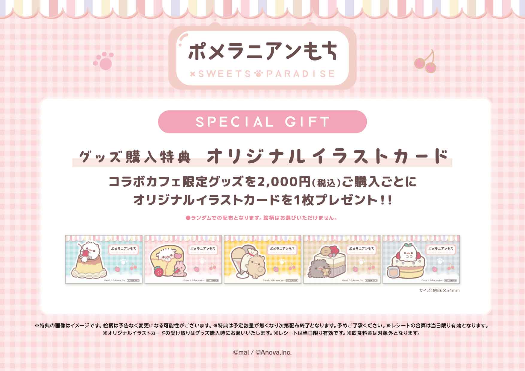 ポメラニアンもち』×SWEETS PARADISE 開催決定！ | 公式スイーツパラダイス